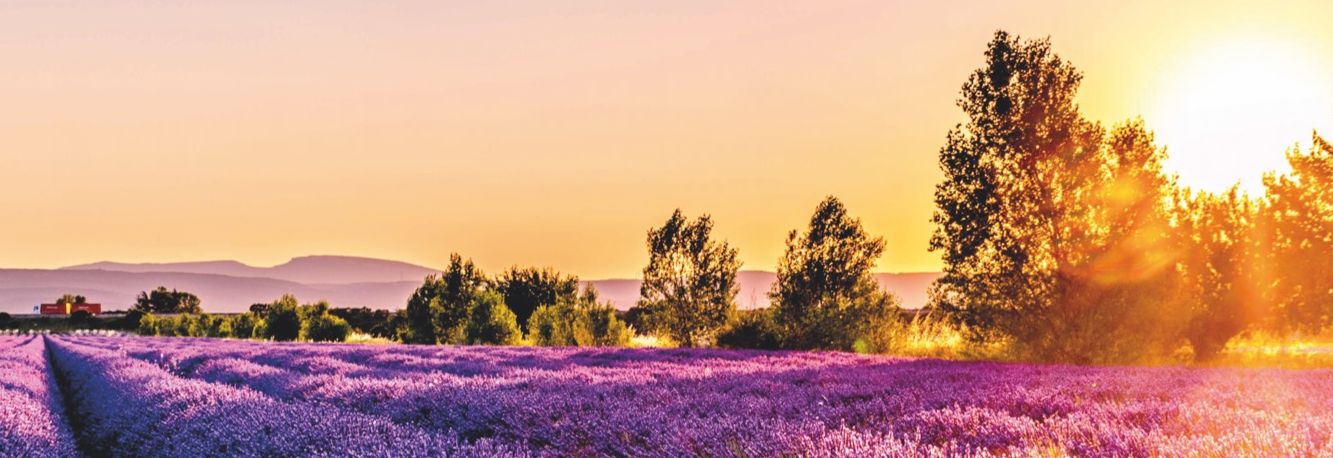 Sylvia Gawlik - Life Coach - Homepage